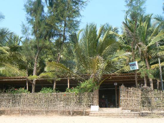 Nirvana Nature, Gokarna 4
